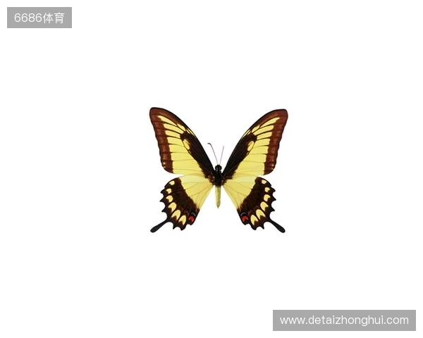 破茧成蝶:Legacy如何登顶南美、跻身世界顶尖行列 破茧成蝶:Legacy如何登顶南美、跻身世界顶尖行列